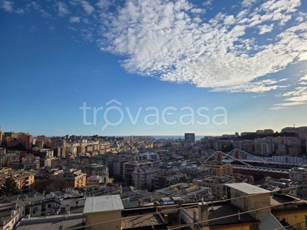 appartamento in vendita a Genova in zona Marassi