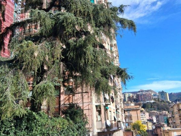 appartamento in vendita a Genova in zona Marassi
