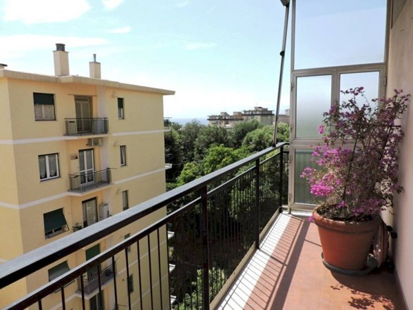 appartamento in vendita a Genova in zona Sampierdarena