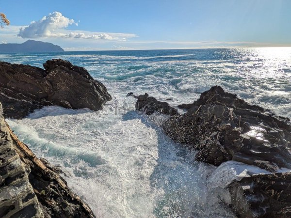 appartamento in vendita a Genova in zona Nervi