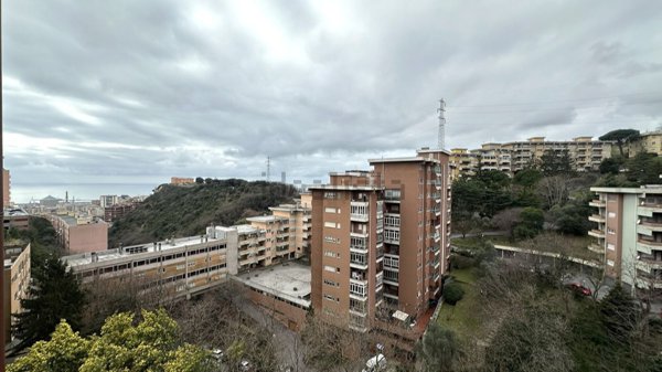 appartamento in vendita a Genova in zona Lagaccio / Granarolo