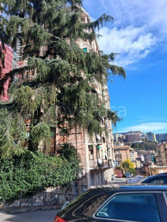appartamento in vendita a Genova in zona Quezzi