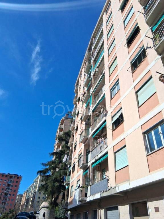 appartamento in vendita a Genova in zona Quezzi