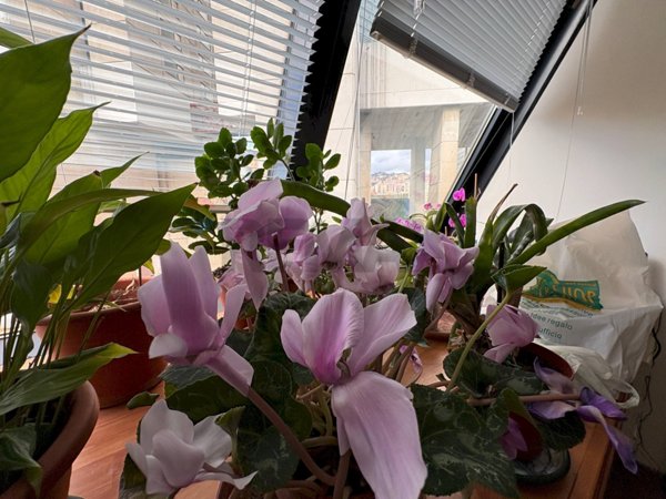 ufficio in vendita a Genova