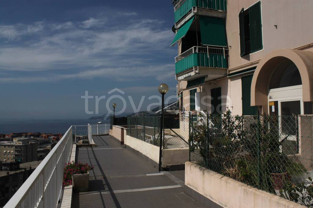 appartamento in vendita a Genova in zona Palmaro / Pra'