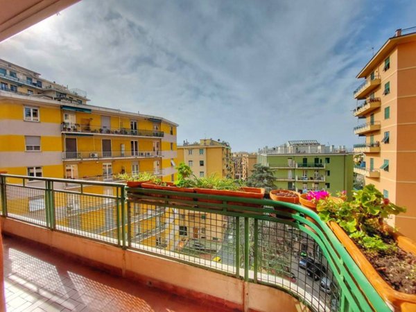 appartamento in vendita a Genova in zona Sampierdarena
