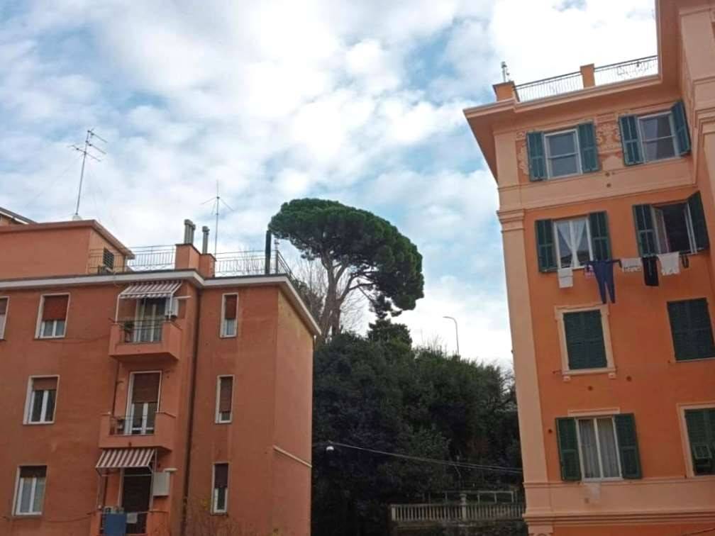 appartamento in vendita a Genova in zona Pegli