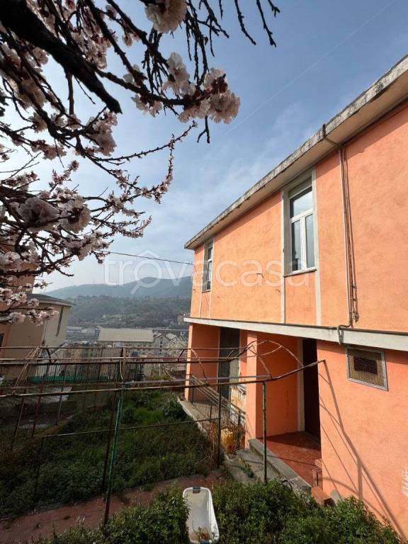 casa indipendente in vendita a Genova in zona Rivarolo