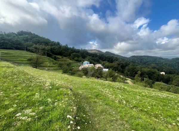 casa indipendente in vendita a Genova in zona Crevari
