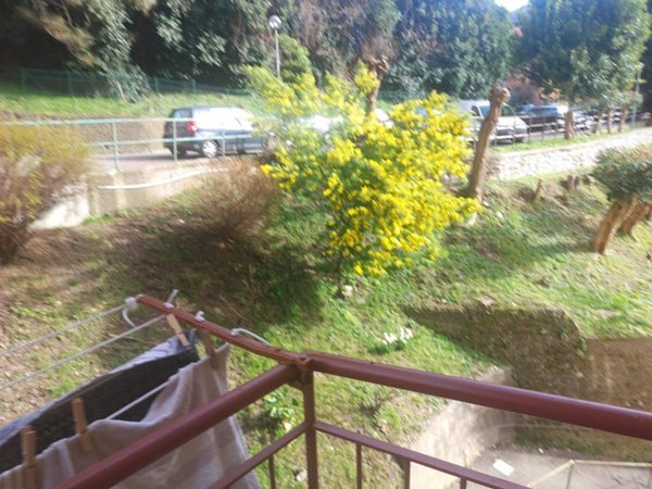 appartamento in vendita a Genova in zona Molassana