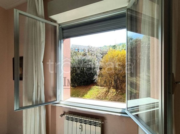 immagine annuncio 0 di 15