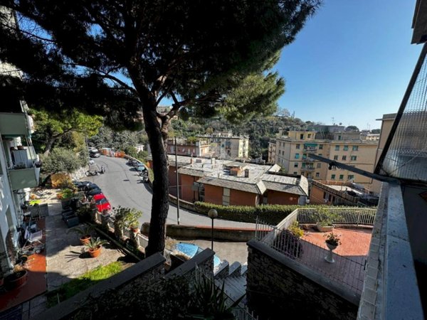 appartamento in vendita a Genova in zona Sampierdarena