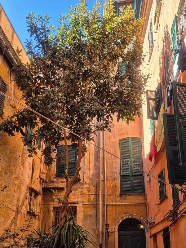 appartamento in vendita a Genova in zona Lagaccio / Granarolo
