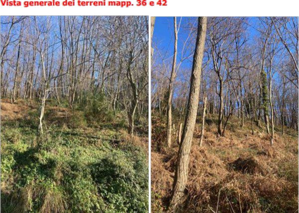 casa indipendente in vendita a Genova