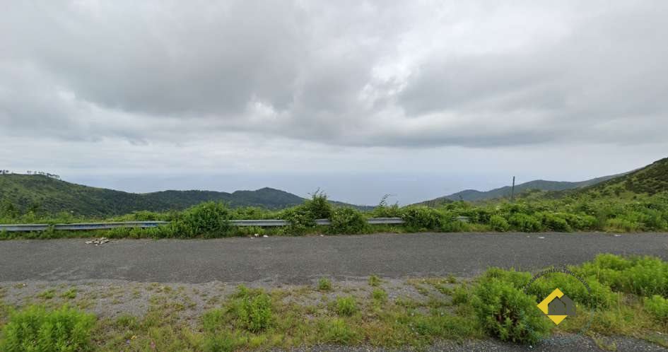 immagine annuncio 0 di 3