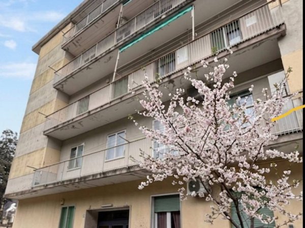 appartamento in vendita a Genova in zona Marassi
