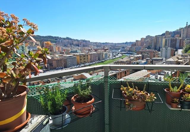 appartamento in vendita a Genova in zona Quezzi