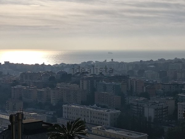 appartamento in vendita a Genova in zona Apparizione