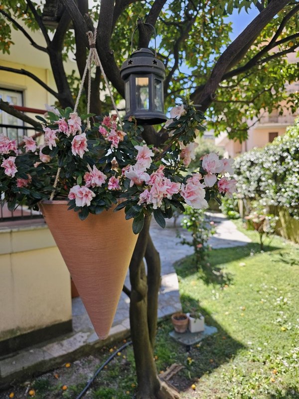 appartamento in vendita a Genova in zona Albaro