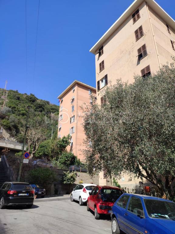 appartamento in vendita a Genova in zona Albaro