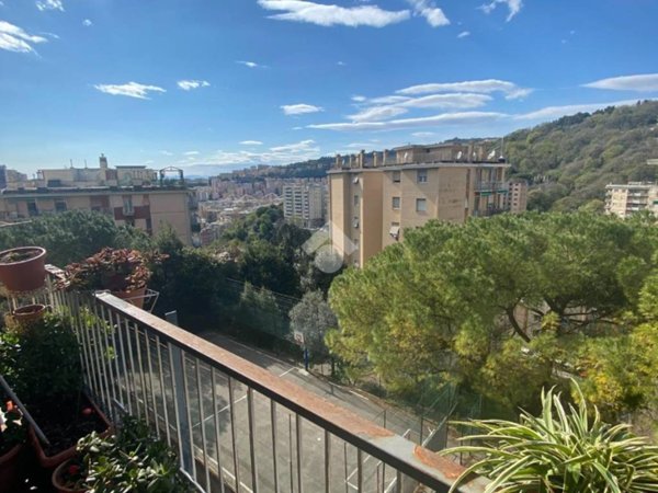 appartamento in vendita a Genova in zona Marassi