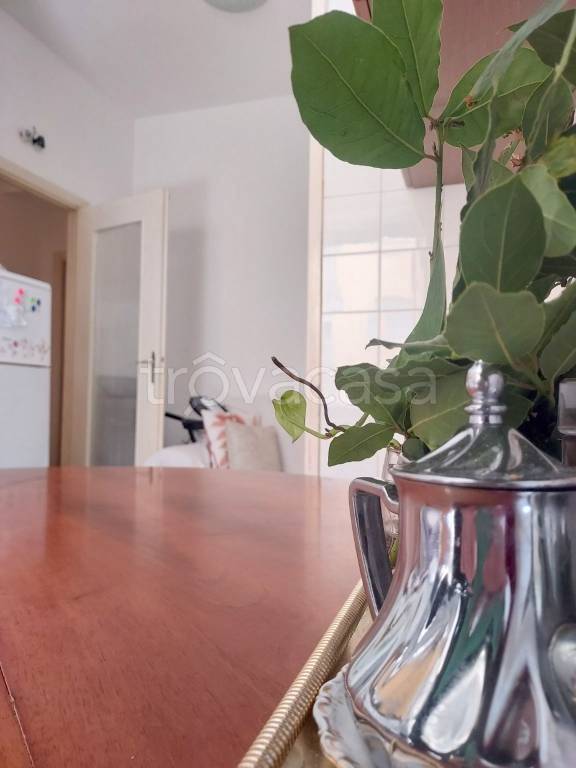 appartamento in vendita a Genova in zona Staglieno