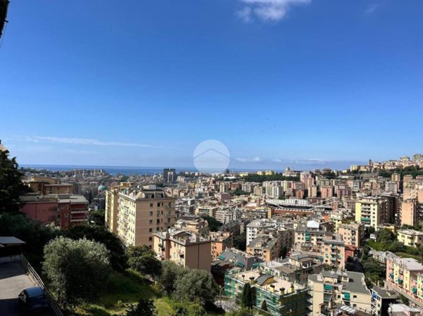 appartamento in vendita a Genova in zona Marassi
