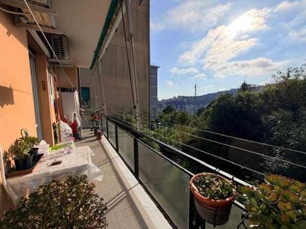 appartamento in vendita a Genova in zona Marassi