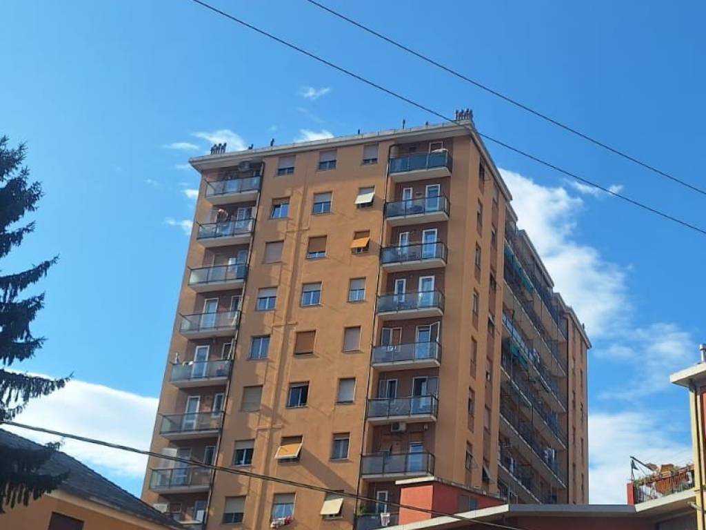 appartamento in vendita a Genova in zona Rivarolo