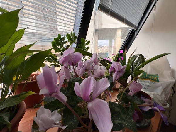 ufficio in vendita a Genova in zona Foce