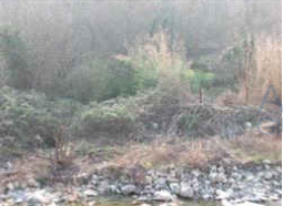 casa indipendente in vendita a Genova in zona Molassana