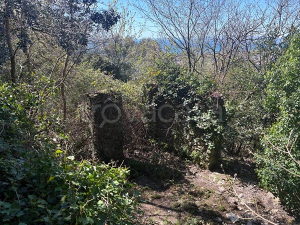 casa indipendente in vendita a Genova in zona Apparizione