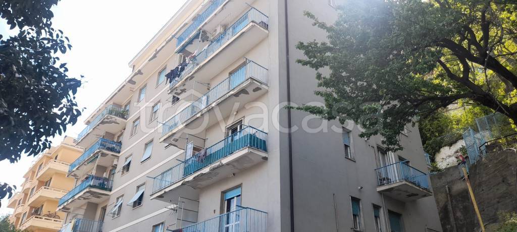 appartamento in vendita a Genova in zona DiNegro