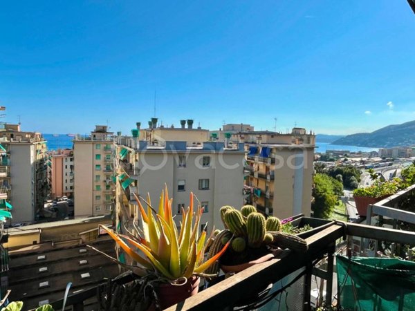 appartamento in vendita a Genova in zona Palmaro / Pra'
