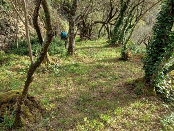 terreno agricolo in vendita a Genova in zona Nervi