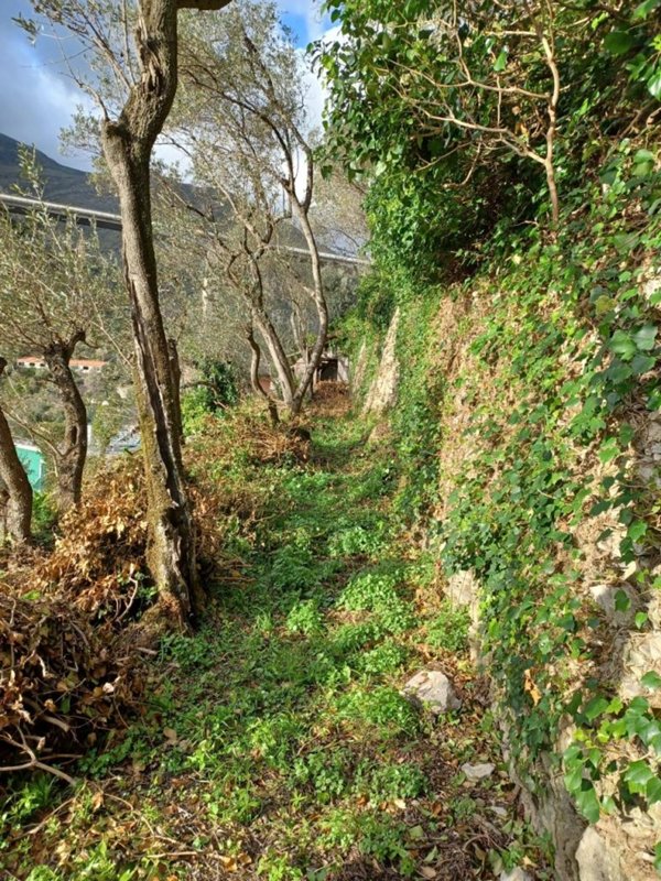 appartamento in vendita a Genova in zona Nervi