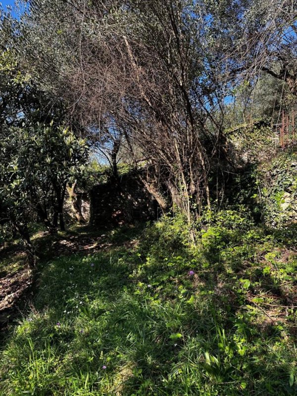 appartamento in vendita a Genova in zona Nervi