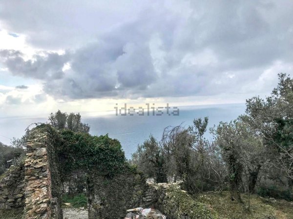 quadrivano in vendita a Genova in zona Nervi