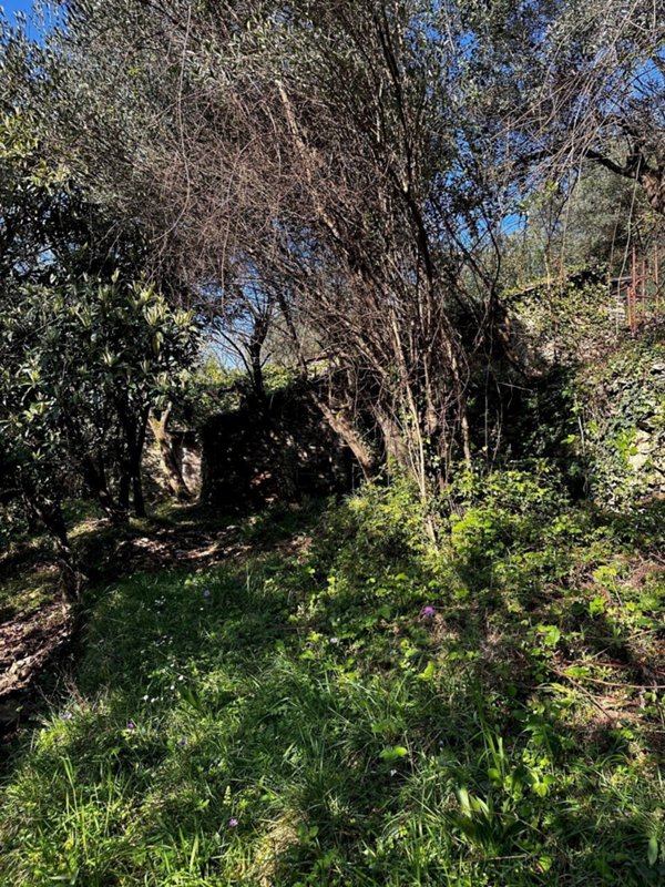 casale in vendita a Genova in zona Nervi