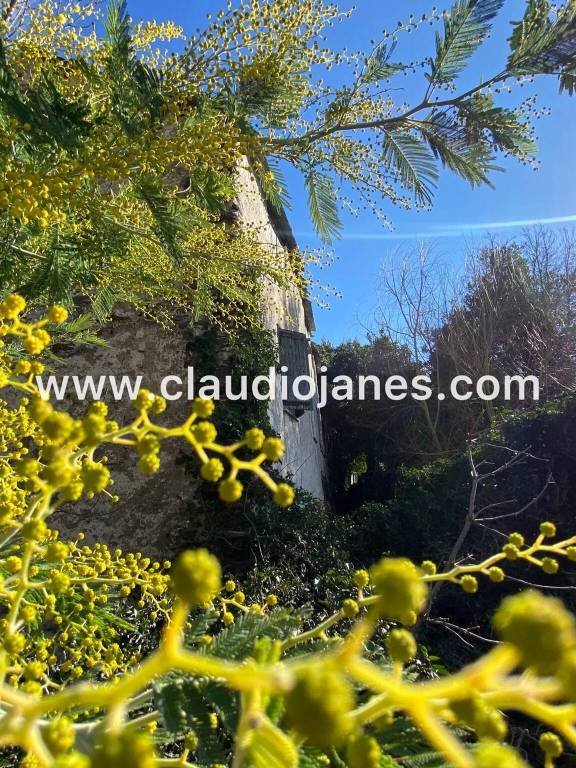 casa indipendente in vendita a Genova in zona Crevari