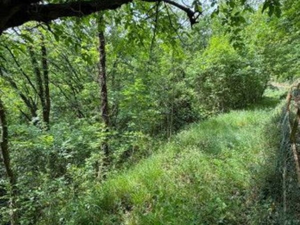 terreno agricolo in vendita a Genova in zona Struppa