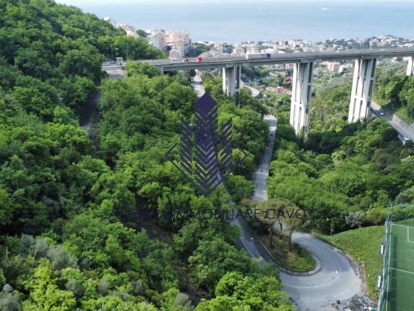 terreno agricolo in vendita a Genova in zona Apparizione