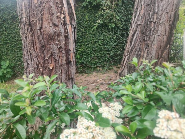 appartamento in vendita a Genova in zona Albaro