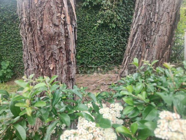 appartamento in vendita a Genova in zona Albaro