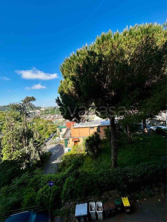 appartamento in vendita a Genova in zona Rivarolo