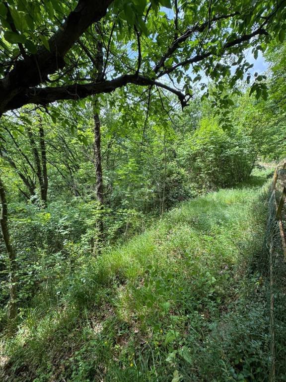 terreno agricolo in vendita a Genova in zona Struppa