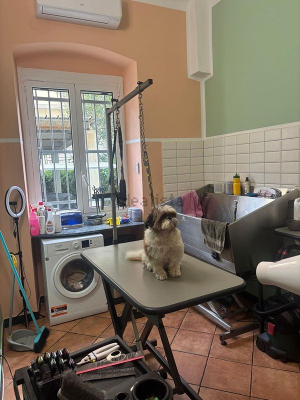 negozio in vendita a Genova in zona San Teodoro