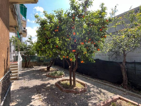 appartamento in vendita a Genova in zona Palmaro / Pra'