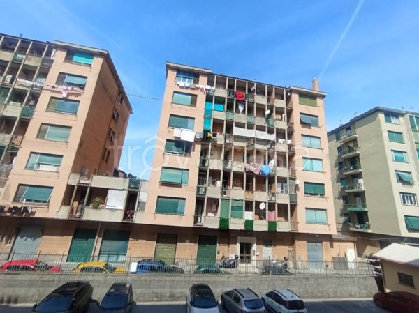 appartamento in vendita a Genova in zona Sampierdarena