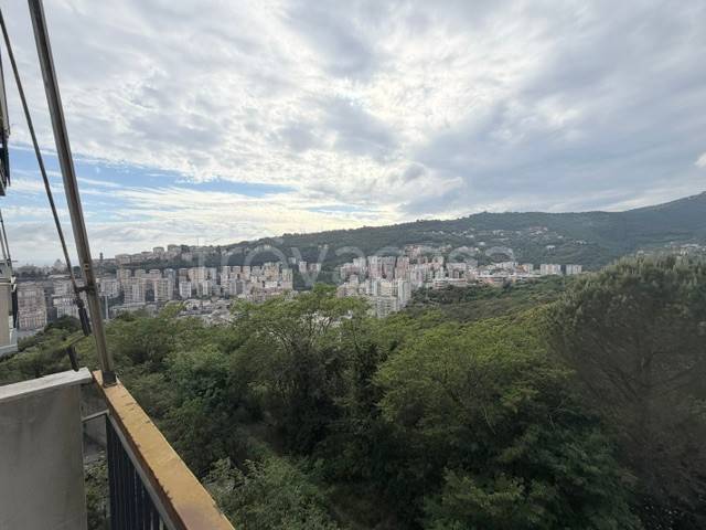 appartamento in vendita a Genova in zona Marassi
